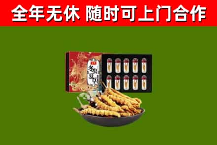 商丘回收冬虫夏草价格